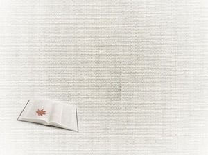 簡單的白皮書教科書幻燈片背景模板下載