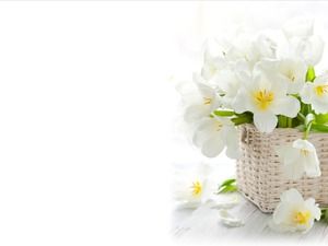 Trzy eleganckie zielone kwiaty PowerPoint pobierz obraz w tle