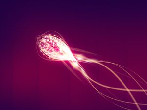 ดาวน์โหลดภาพพื้นหลังแมงกะพรุนบทคัดย่อ PPT