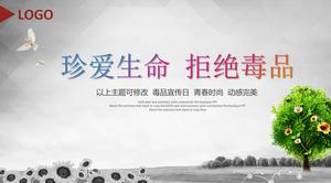 Schätzen Sie das Leben und lehnen Sie Drogen ab, Anti-Drogen-Aufklärung PPT-Vorlage kostenloser Download