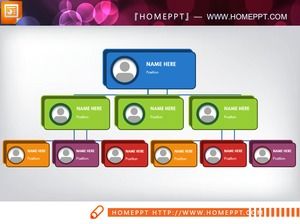 PPT-Organigramm mit abgerundetem Rechteck im UI-Stil