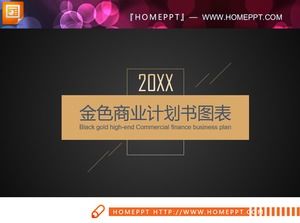 Exquisite flat black gold venture financing PPT chart Daquan