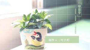 ذكريات التخرج في الحياة الجامعية للشباب تقدير باور بوينت