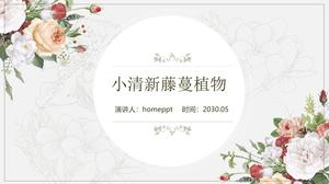 Plantă de viță de vie mică, acuarelă, proaspătă, șablon ppt tematic retro european literar