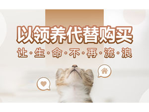 Use adoption instead of purchase to make life no longer wandering-animal protection ppt template