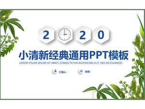 Vektor Cartoon Pflanze verlässt einfache flache Arbeit Bericht ppt Vorlage