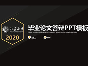 Schwarze Gold einfache Linien geometrische Stil These Verteidigung allgemeine ppt Vorlage