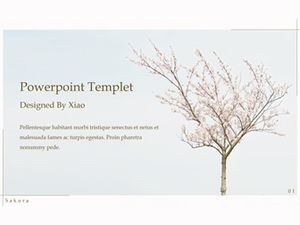 الخيال زهر الكرز ساكورا موضوع قالب PPT