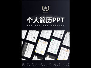 아름답고 실용적인 수직 이력서 PPT 템플릿 패키지 다운로드 6 세트