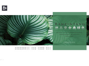 Magazin verde verde închis atmosferă vânt atmosferă plată rezumat raport șablon ppt