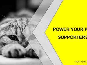 Colore giallo-grigio ad alto contrasto che abbina l'atmosfera di fascia alta modello di report di riepilogo del lavoro a tema del gatto del vento di fascia alta