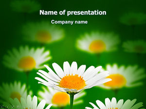 Rosa na młodych liściach, eleganckie kwiaty, wiosenna zieleń, świeże i naturalne szablony ppt (2 zestawy)