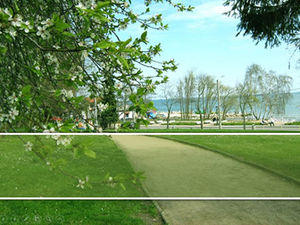 قالب باور بوينت أخضر ربيعي منعش وطبيعي وأنيق (7 مجموعات)