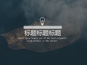 A variety of content layout flat simple atmosphere business ppt template