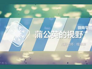 模造ウェブデザインマイクロビジネスプラットフォーム紹介pptテンプレート