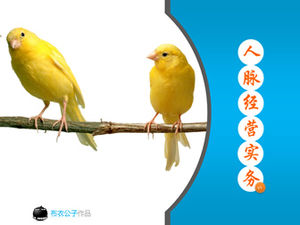 Praktyka zarządzania siecią - szablon ppt szkolenia HR w przedsiębiorstwie