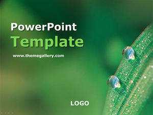 4 set di fiori, rugiada, foresta, primavera, natura, modelli ppt