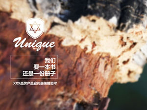 كتيب المنتج العلامة التجارية استراتيجية التفكير قالب باور بوينت