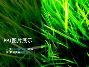 Modèle de ppt simple entreprise introduction à la culture d'entreprise