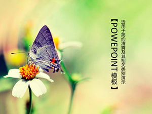 เทมเพลต PPT ของธีมที่เรียบง่ายและสดชื่น