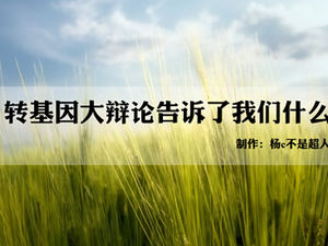 Maravilloso debate sobre la plantilla ppt de modificación genética