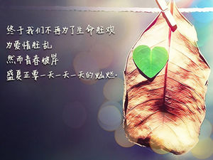 أمثال الحب الحب موضوع خلفية قالب ppt