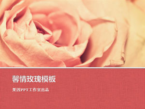 Love rose ppt template