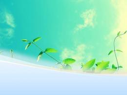 봄 포도 나무 잎 모종 PPT 템플릿