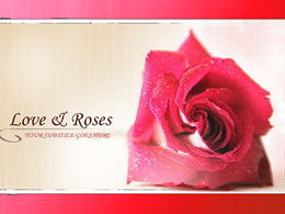 Rose nostalgia ppt template
