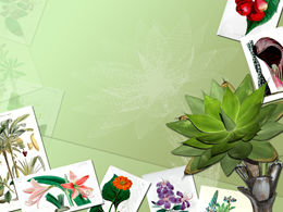 Piękny kwiat szablon albumu fotograficznego ppt