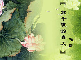 「牛のクラスの春」映画知覚pptテンプレート