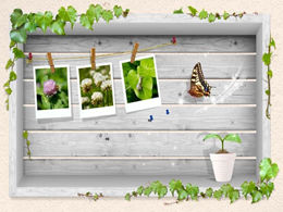 Szablon albumu z motywem wiosny