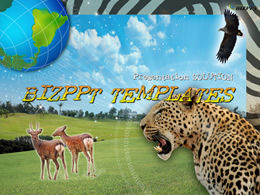 เทมเพลต PPT ของ Animal World
