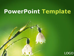 Кристально чистый бутон цветка зеленый фон шаблон п.