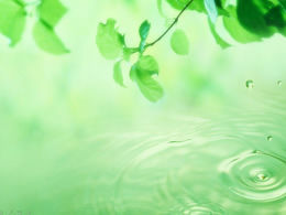 30 vinhetas e fotos elegantes adequadas para download do pacote de fotos de fundo PPT