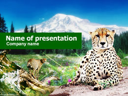 레오파드 동물 PPT 템플릿