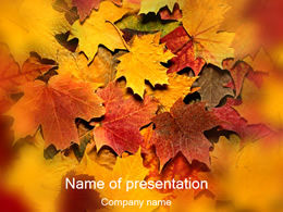 Akçaağaç Yaprağı Resim Arka Plan Şablonu