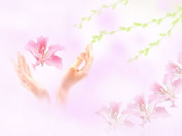 11 fundaluri PPT roz roz