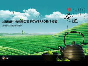 香茶禮-茶文化ppt模板