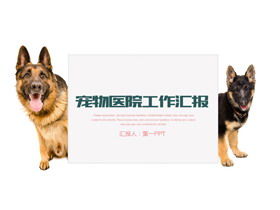 แม่แบบ PPT โรงพยาบาลสัตว์เลี้ยงพื้นหลัง