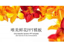 Fondo floral brillante hermosa plantilla PPT