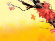 Tinta template PPT latar belakang daun maple yang realistis