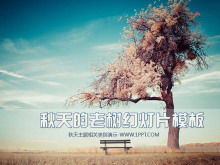 秋草原老樹背景PowerPoint模板