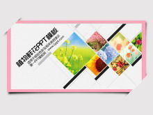 A set of exquisite flowers and plants background slideshow templates