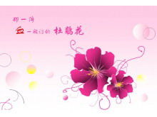 Azalea PPT-Vorlage herunterladen