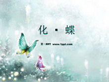 แม่แบบ PPT ผีเสื้อที่หรูหราและสวยงาม