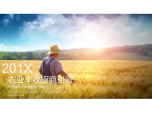 Template PPT promosi investasi pertanian