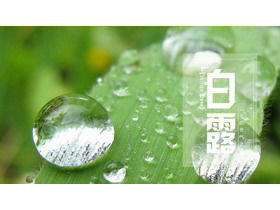 露の背景に白い露の太陽の用語の紹介PPTテンプレート