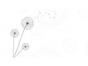 일곱 민들레 PPT 배경 사진