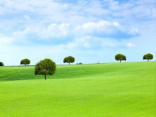 Mavi gökyüzü ve beyaz bulutlar çimen PPT arka plan resmi